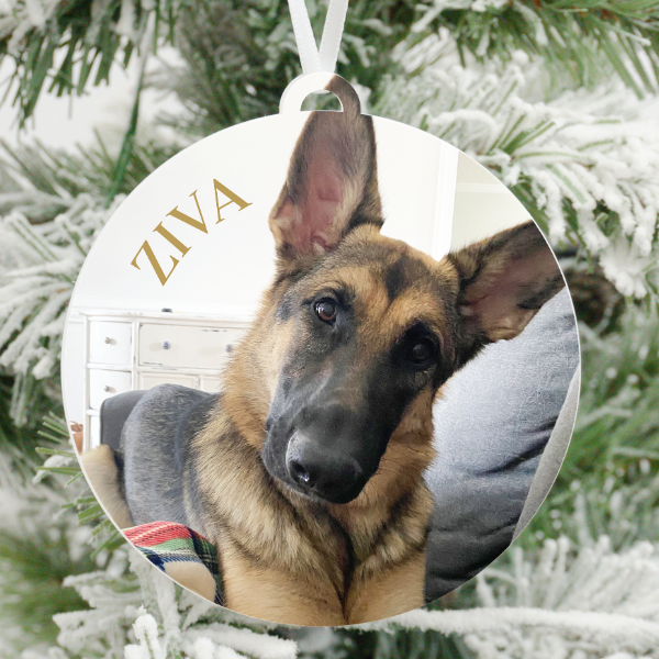 Top 10 Mother's Day Gift Ideas for Dog Moms