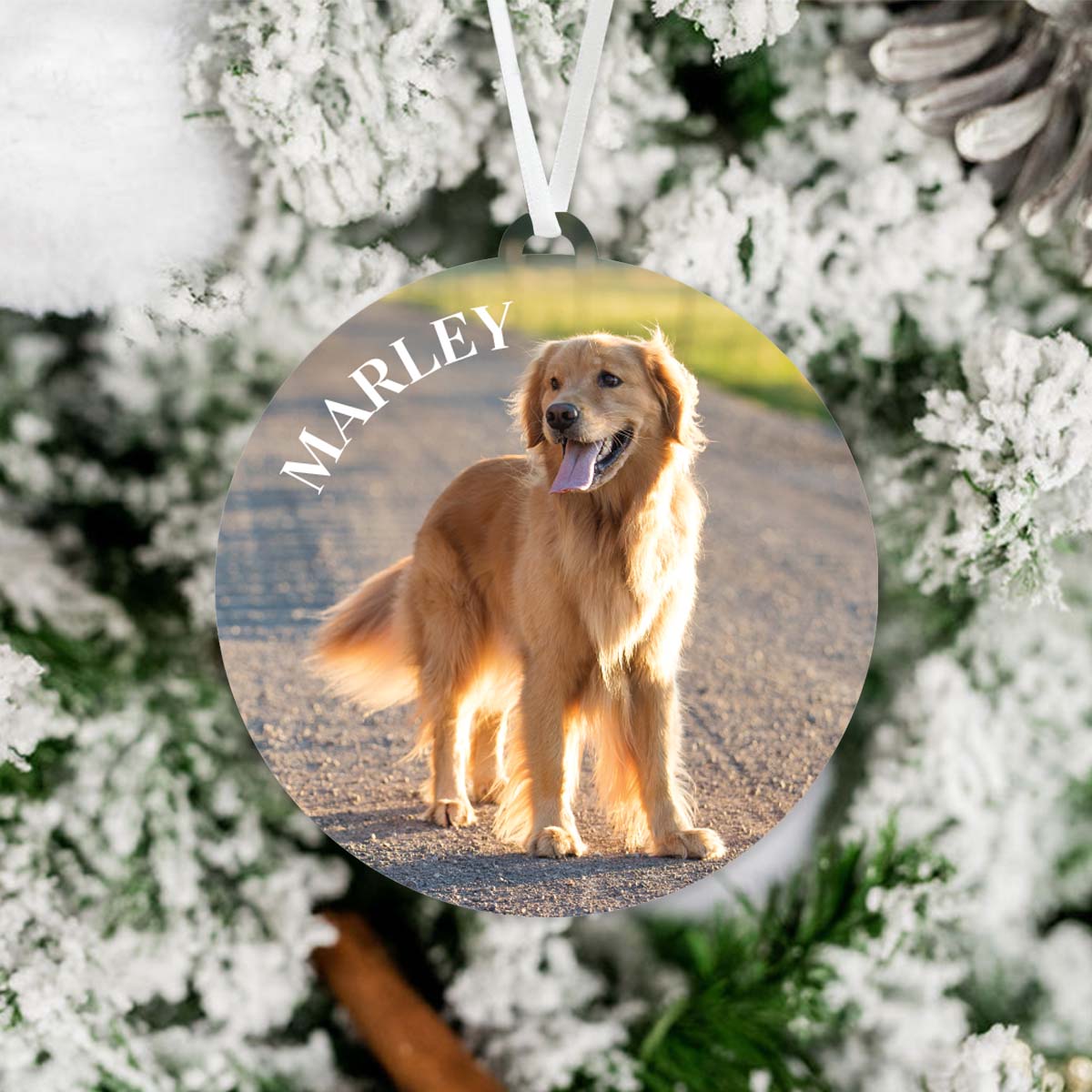 Personalized Dog Photo Ornament