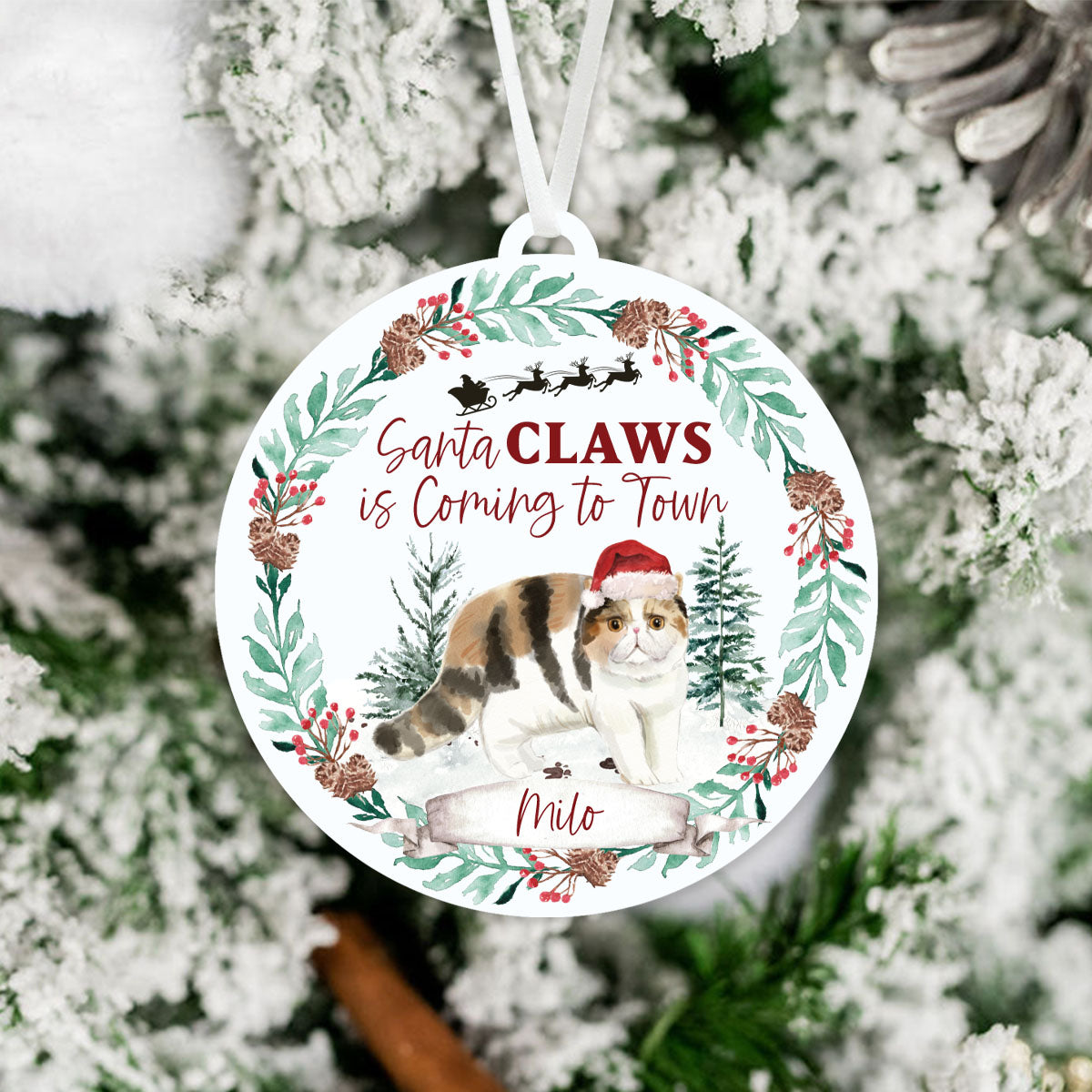 Exotic Shorthair Cat Ornament - Santa Claws