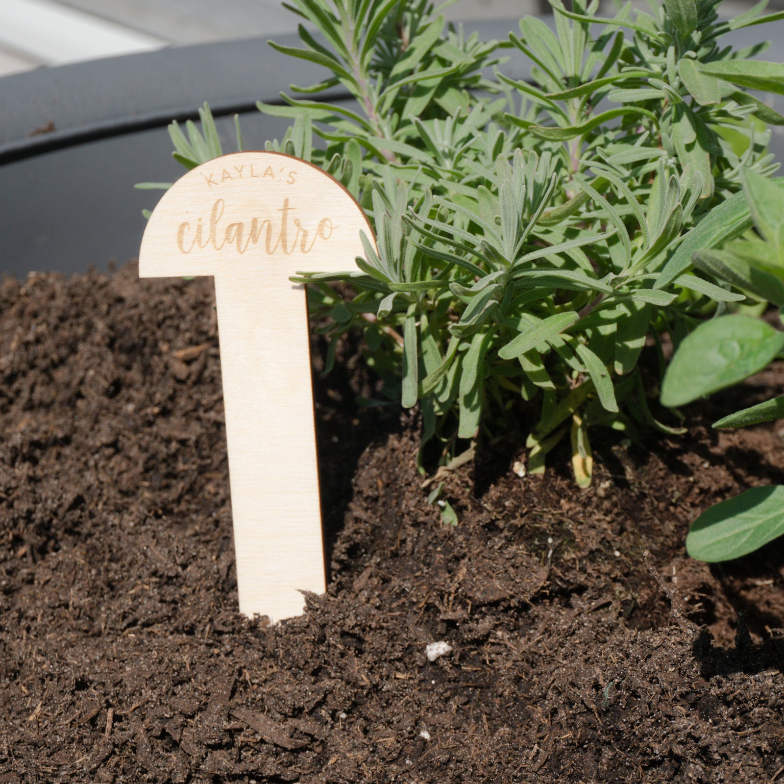 Floral Garden Marker