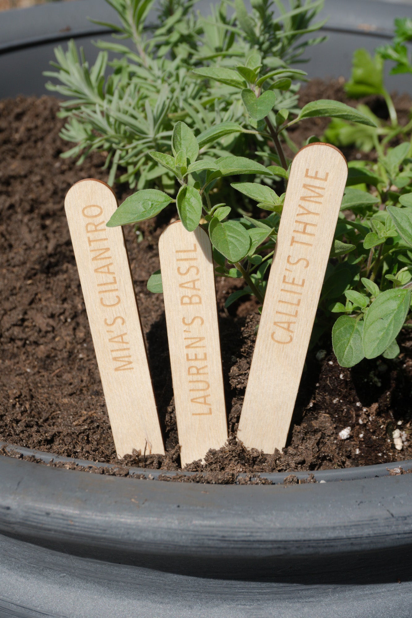 Custom Garden Marker