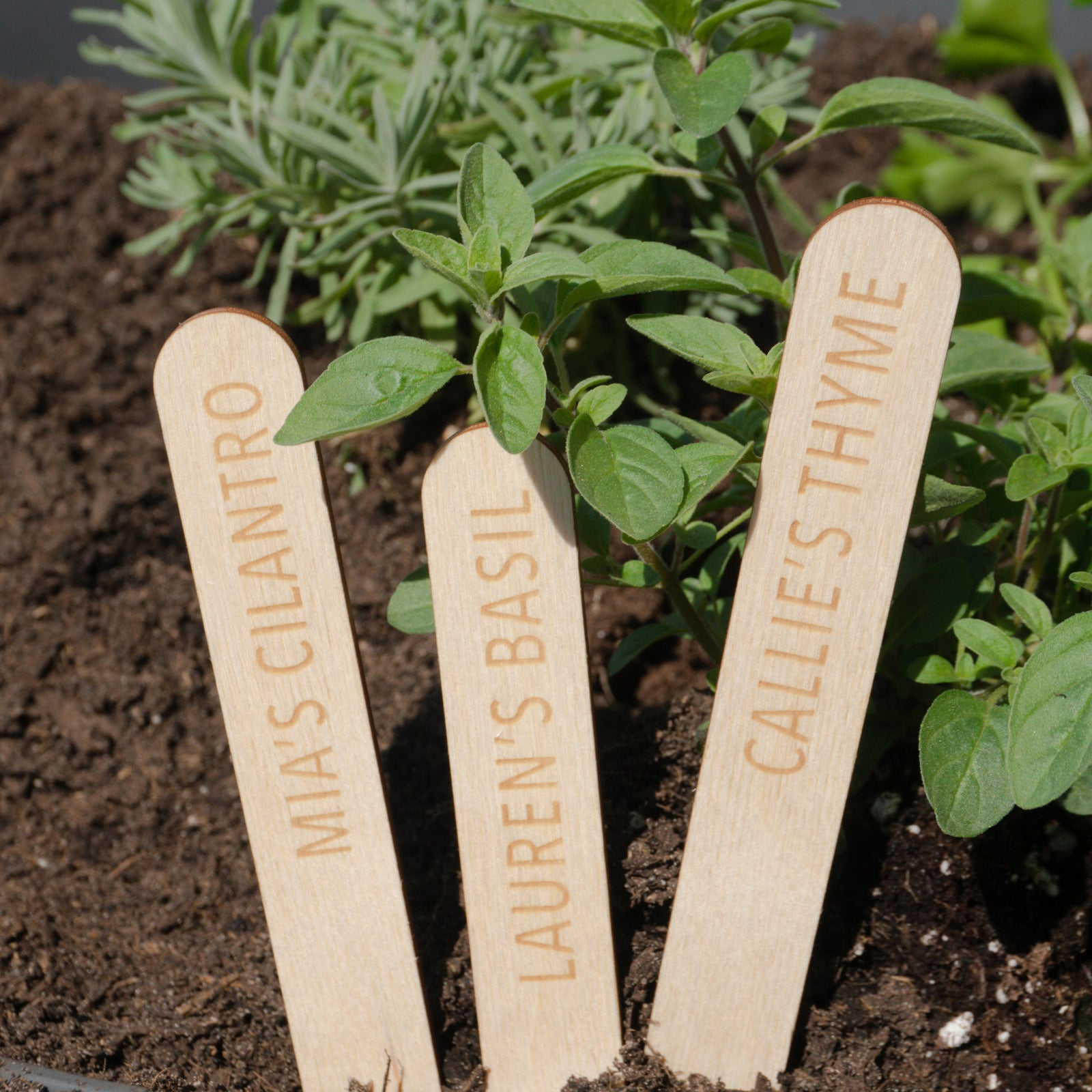 Custom Garden Marker