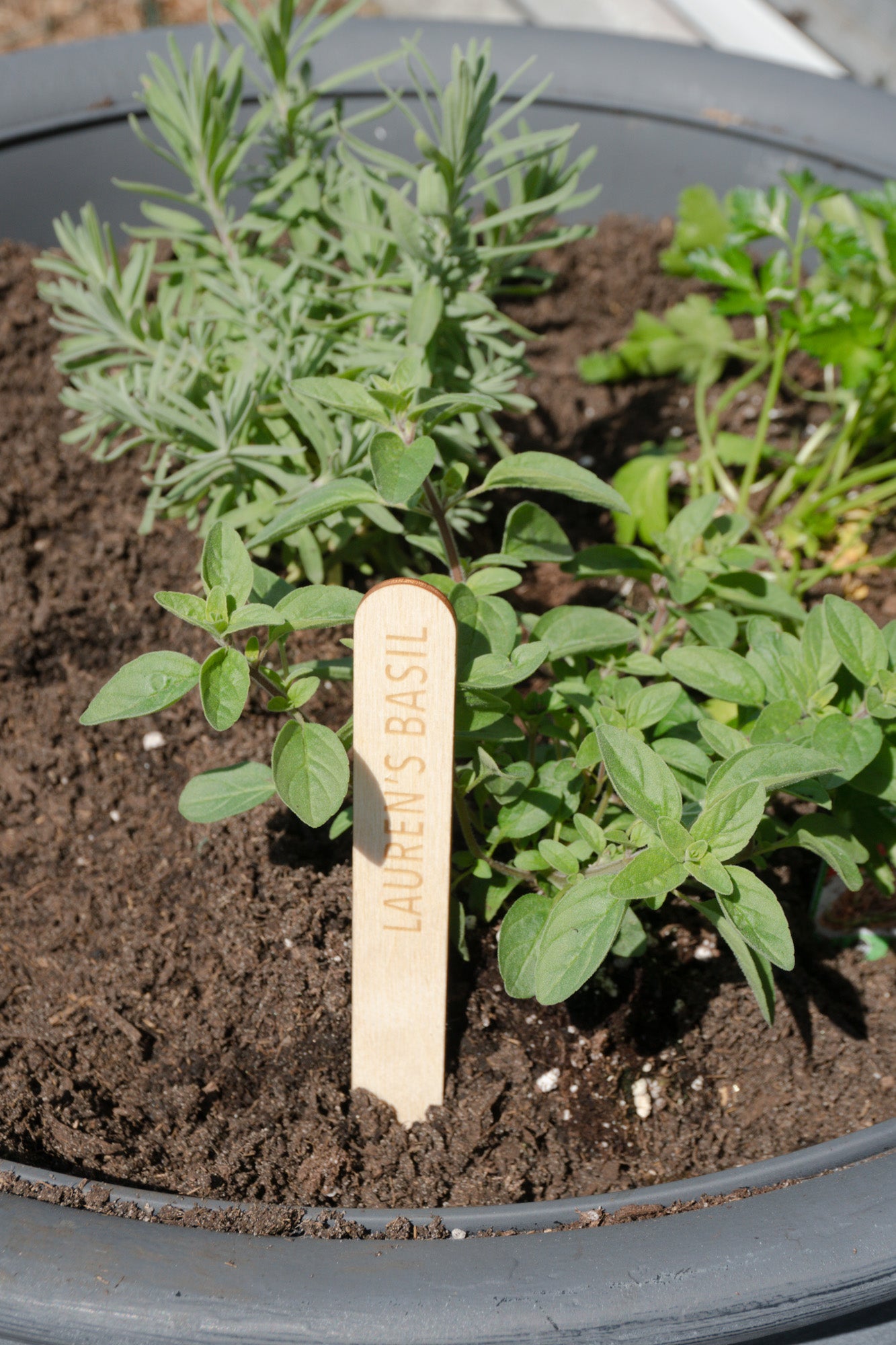 Custom Garden Marker