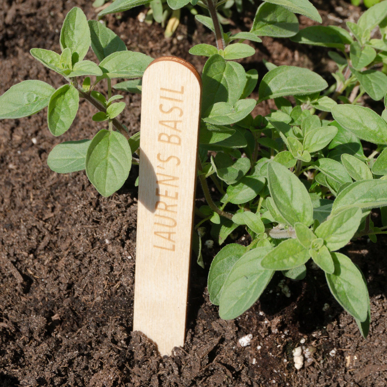 Custom Garden Marker