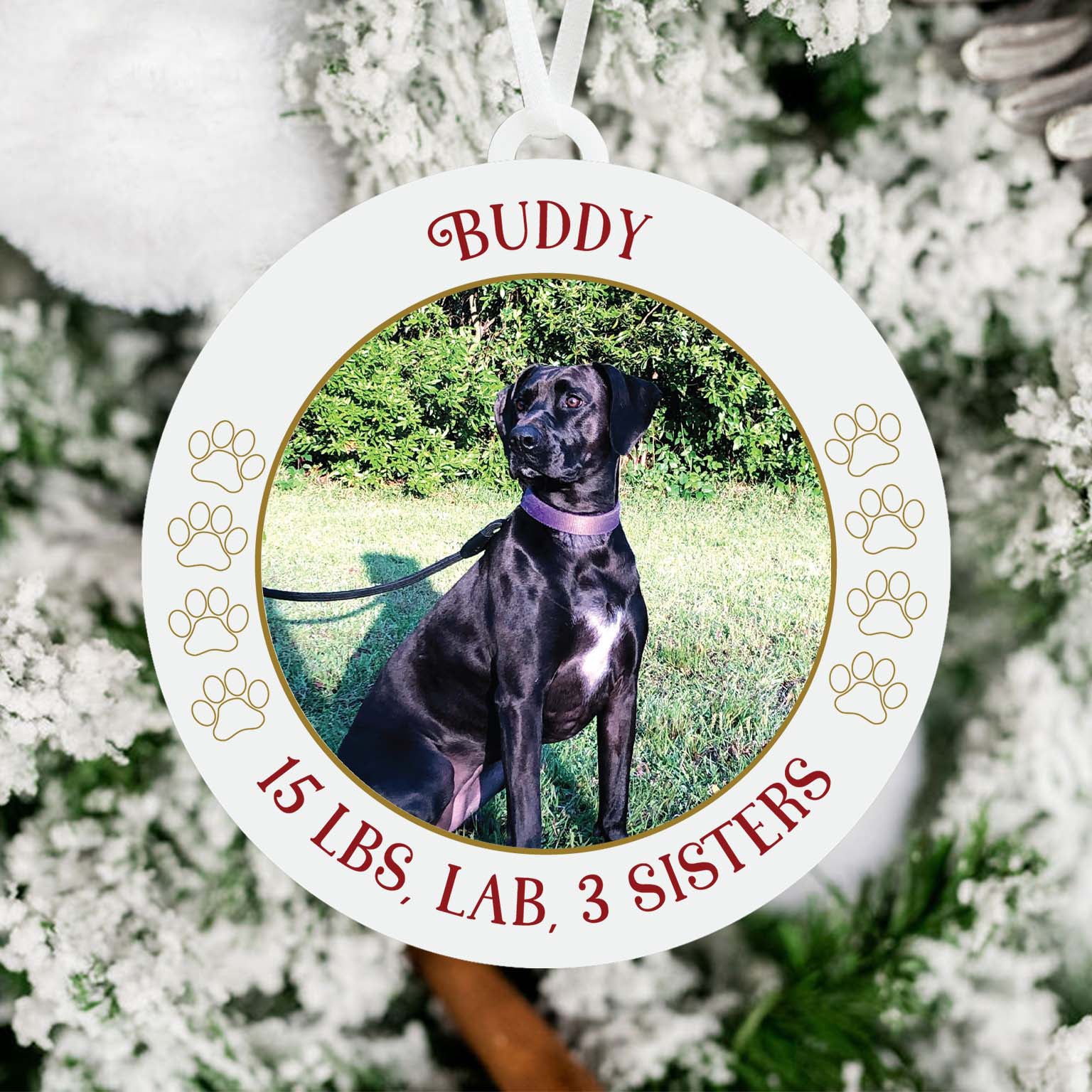 Puppy Stats Dog Ornament