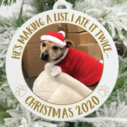 Perfect Christmas Ornaments for Dog Moms