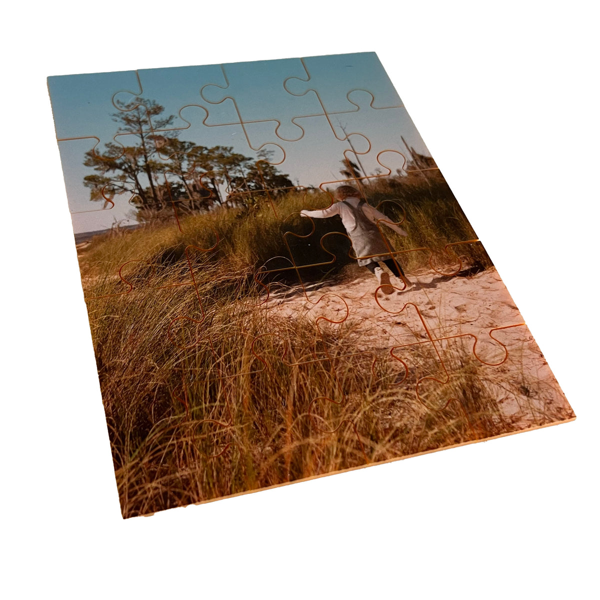 custom puzzle photo puzzle picture puzzle jigsaw puzzle