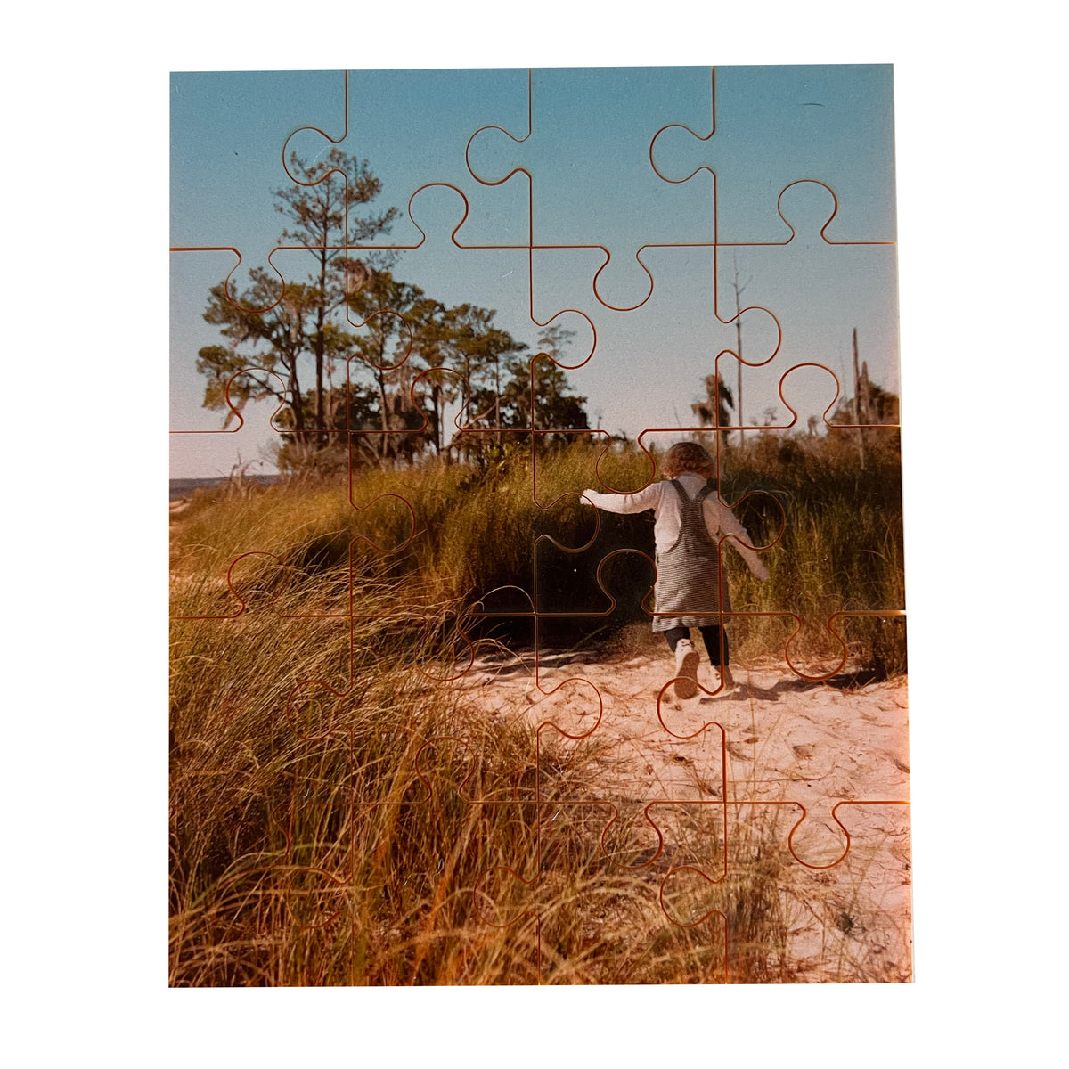 custom puzzle photo puzzle picture puzzle jigsaw puzzle