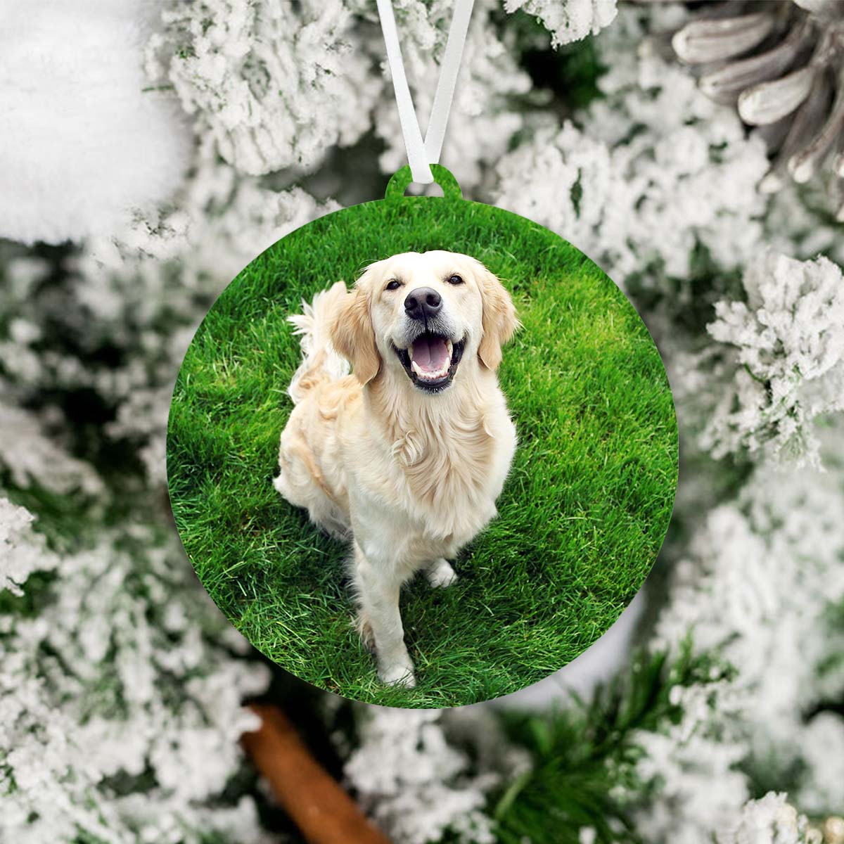 Photo Christmas Ornament