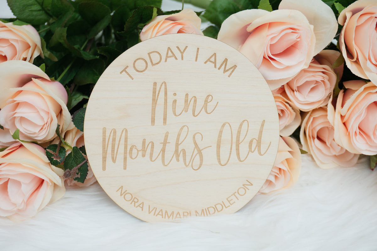Personalized Milestone Signs for Baby