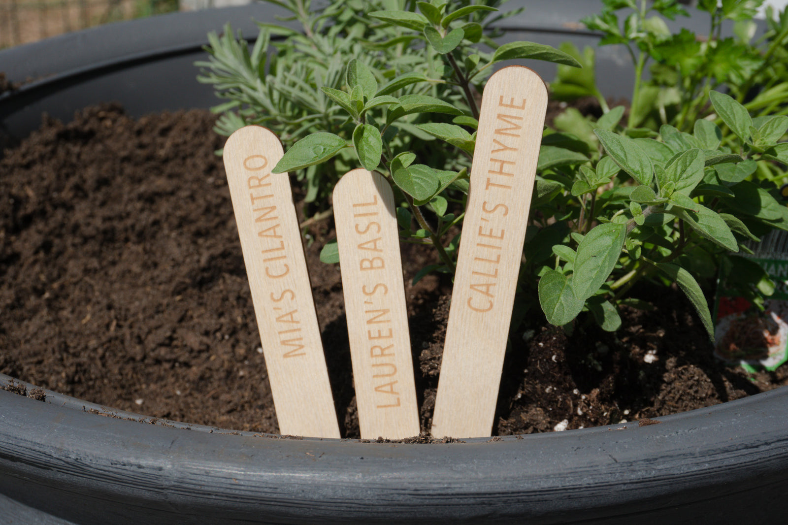 Custom Garden Marker