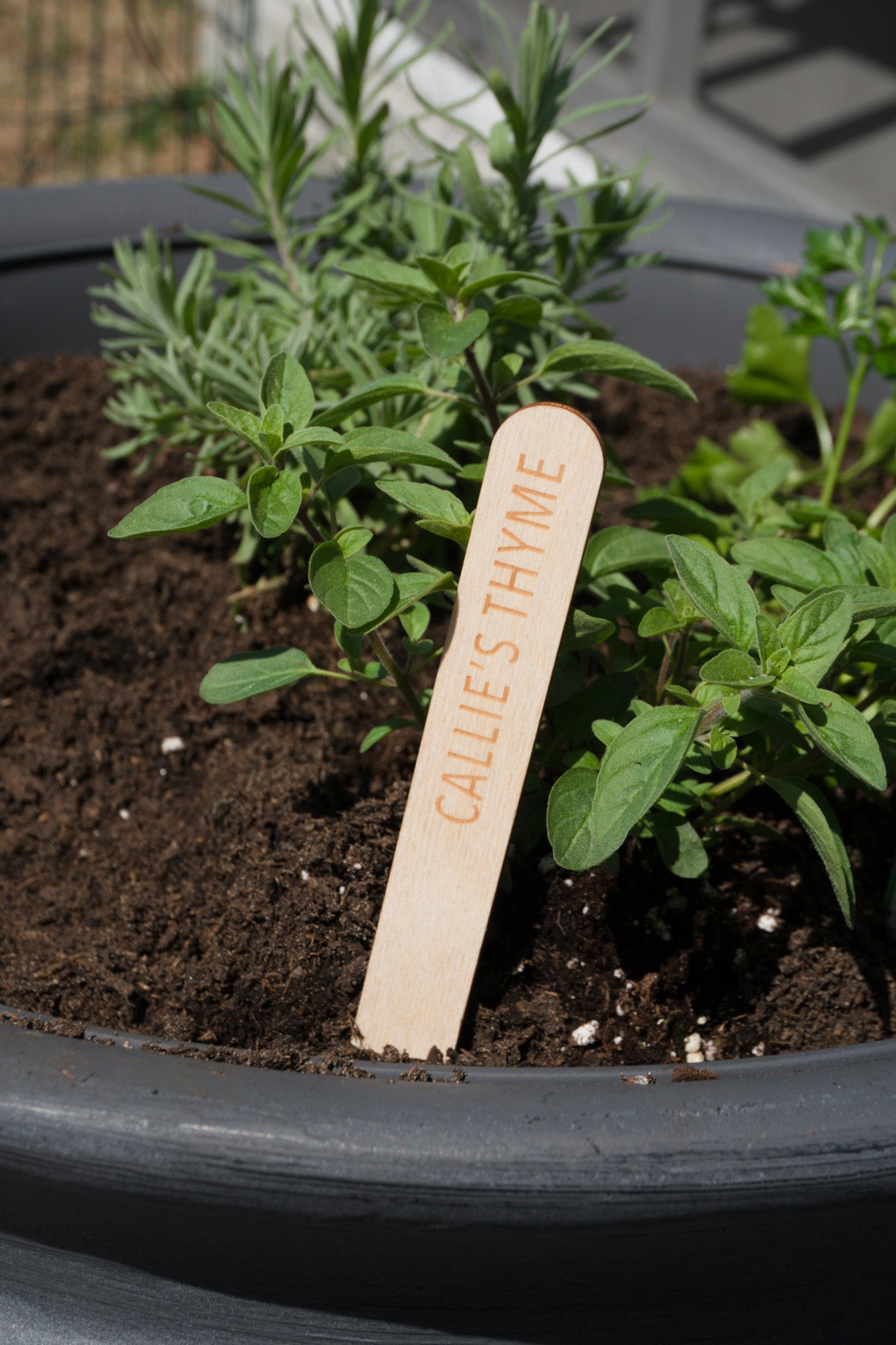 Custom Garden Marker