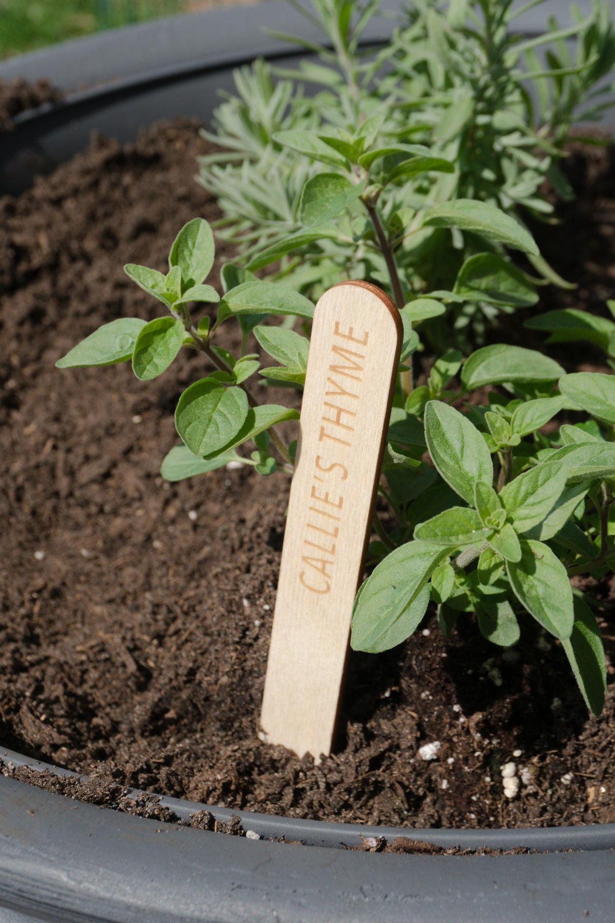 Custom Garden Marker