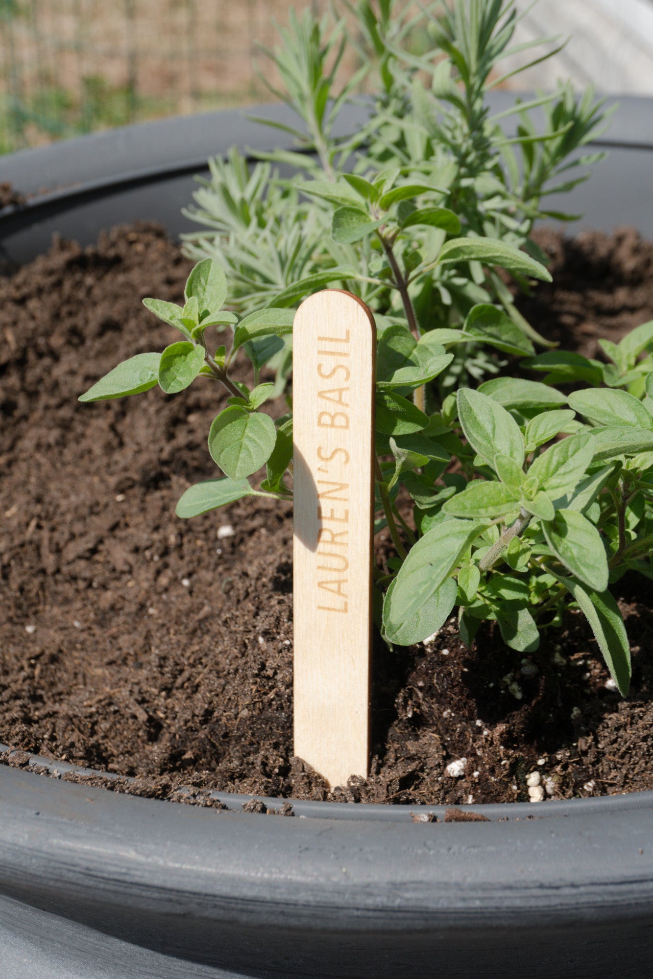 Custom Garden Marker