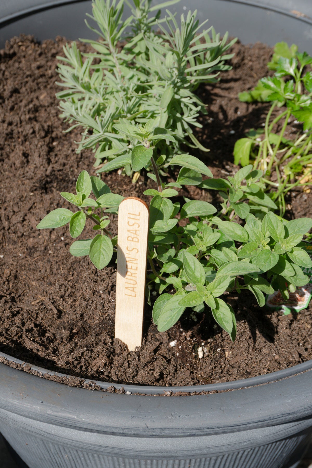 Custom Garden Marker