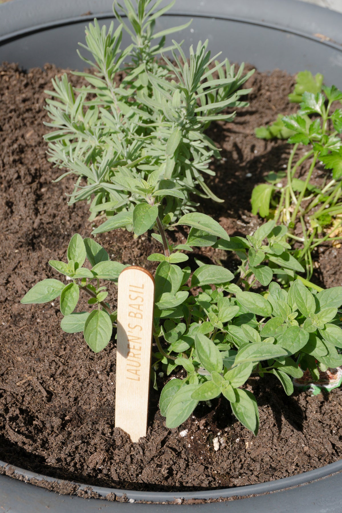 Custom Garden Marker