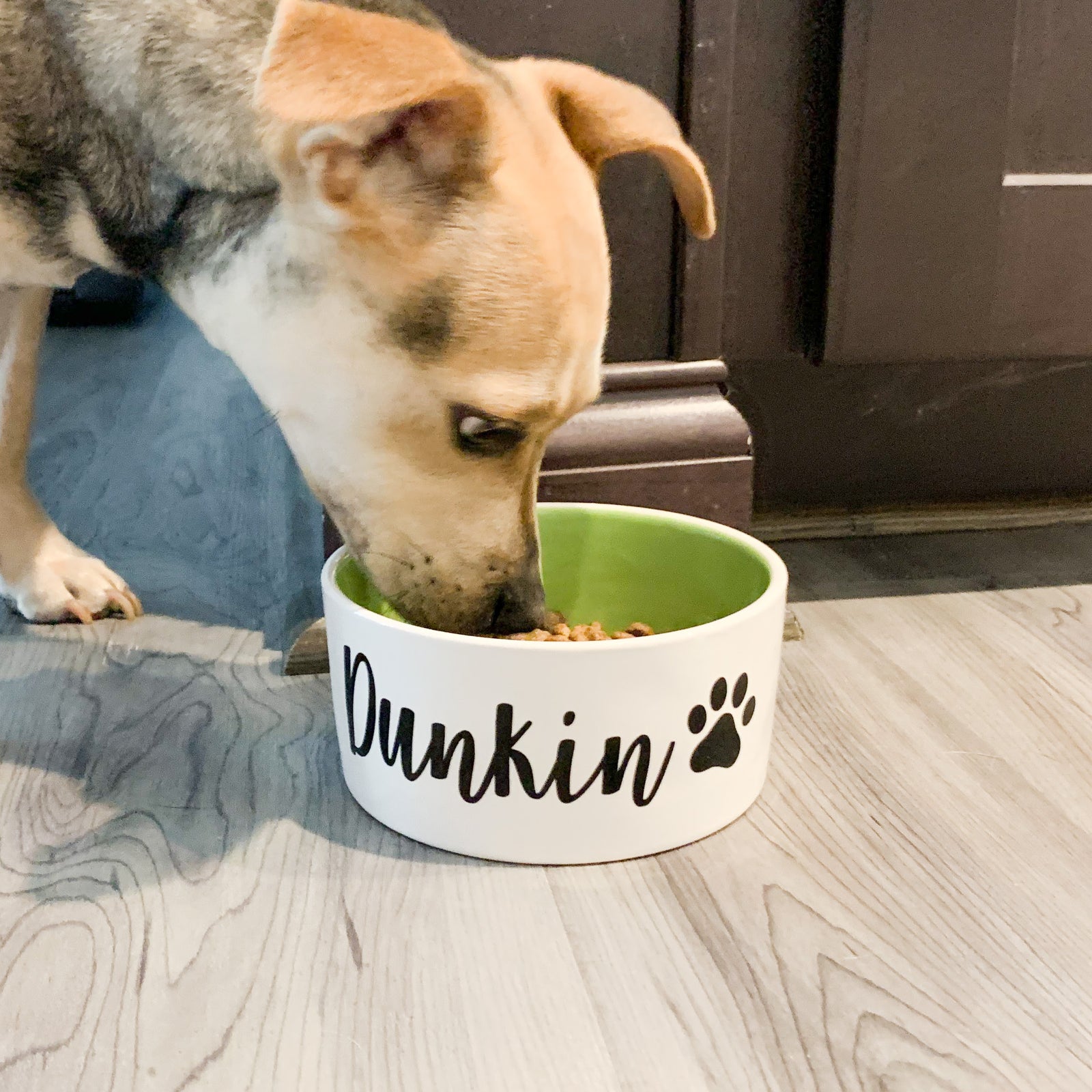 Dog Bowl Vinyl Decal Labels