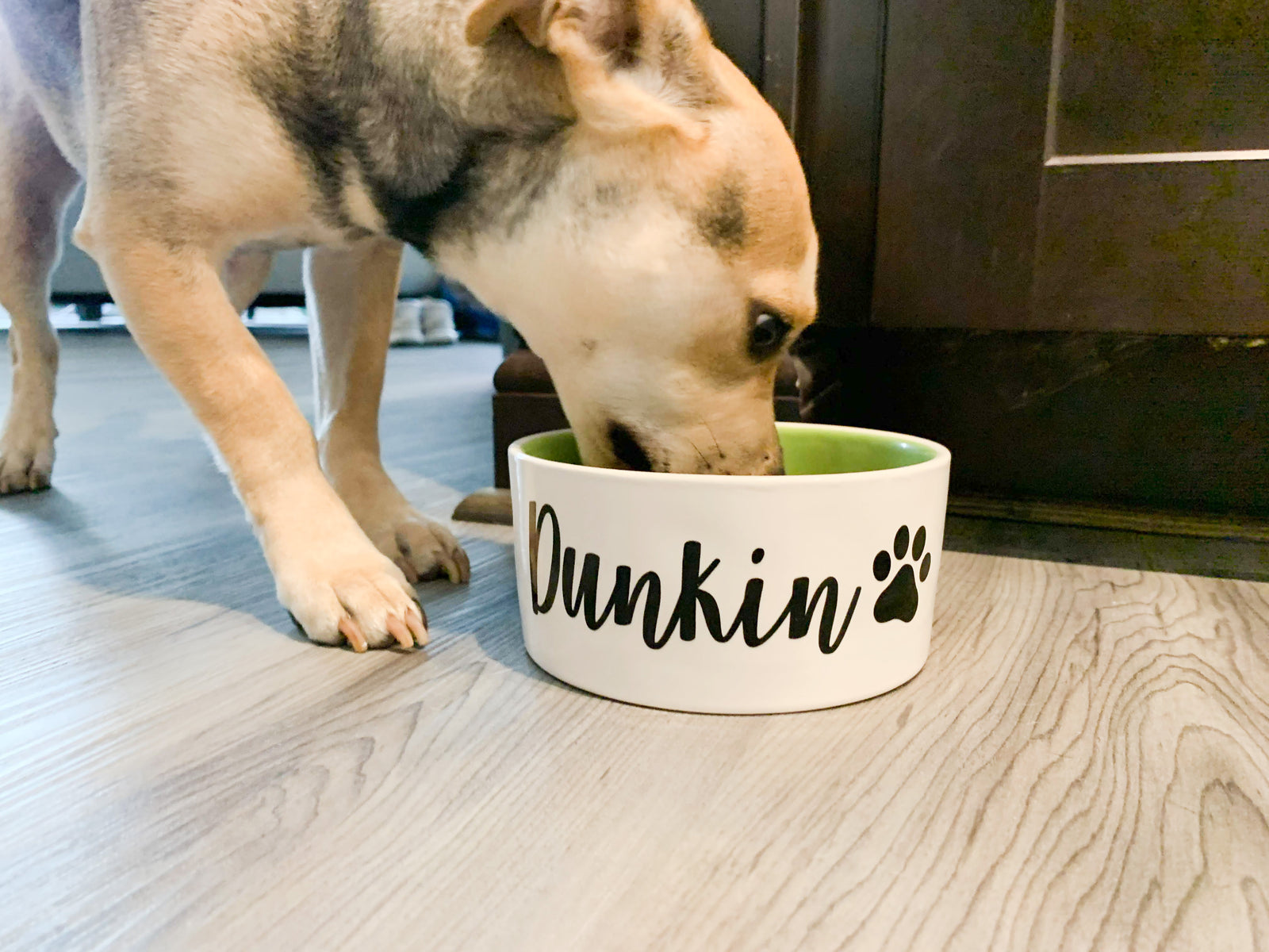 Dog Bowl Vinyl Decal Labels