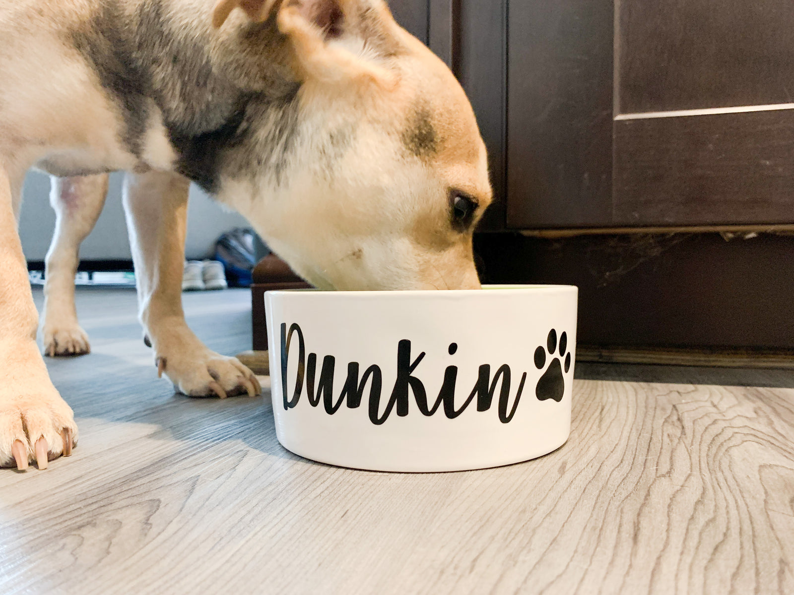 Dog Bowl Vinyl Decal Labels
