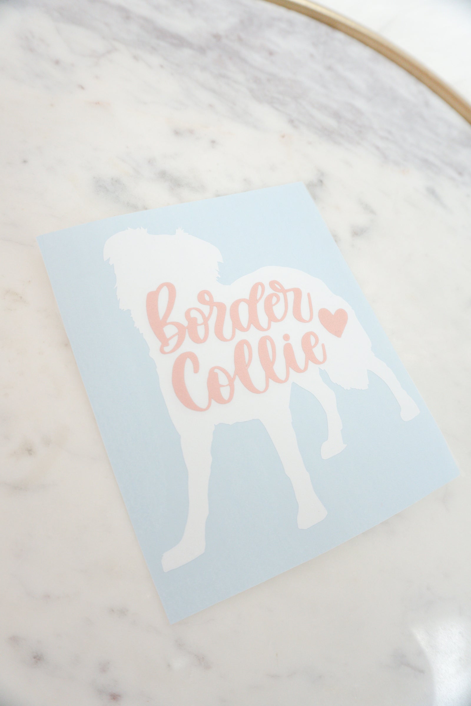 Border Collie Vinyl Decal